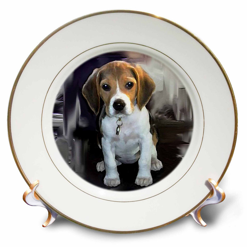Beagle plates clearance